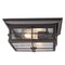 Westinghouse Fixture Ceiling Outdr Flush-Mount 60W 2-Light Orwell 11In ORB H-Lights Clear Sd Glass 6578400 - alternate 6